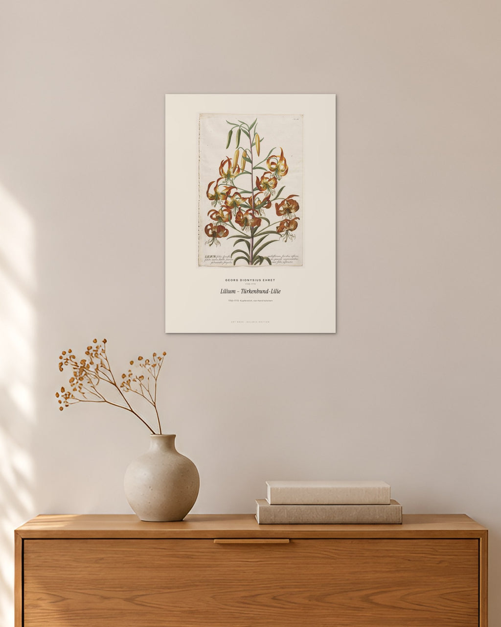 Lilium – Türkenbund-Lilie – Georg Dionysius Ehret – 30 × 42 cm ohne Rahmen – Raumansicht – Art Bros