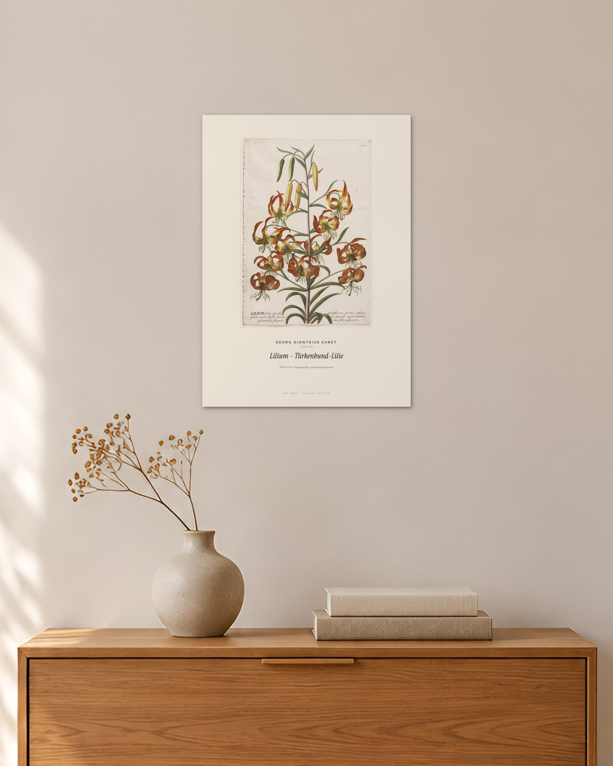 Lilium – Türkenbund-Lilie – Georg Dionysius Ehret – 30 × 42 cm ohne Rahmen – Raumansicht – Art Bros