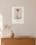 Gemarmerde van Jasper – Pieter Holsteyn II – 30 × 42 cm ohne Rahmen – Raumansicht – Art Bros