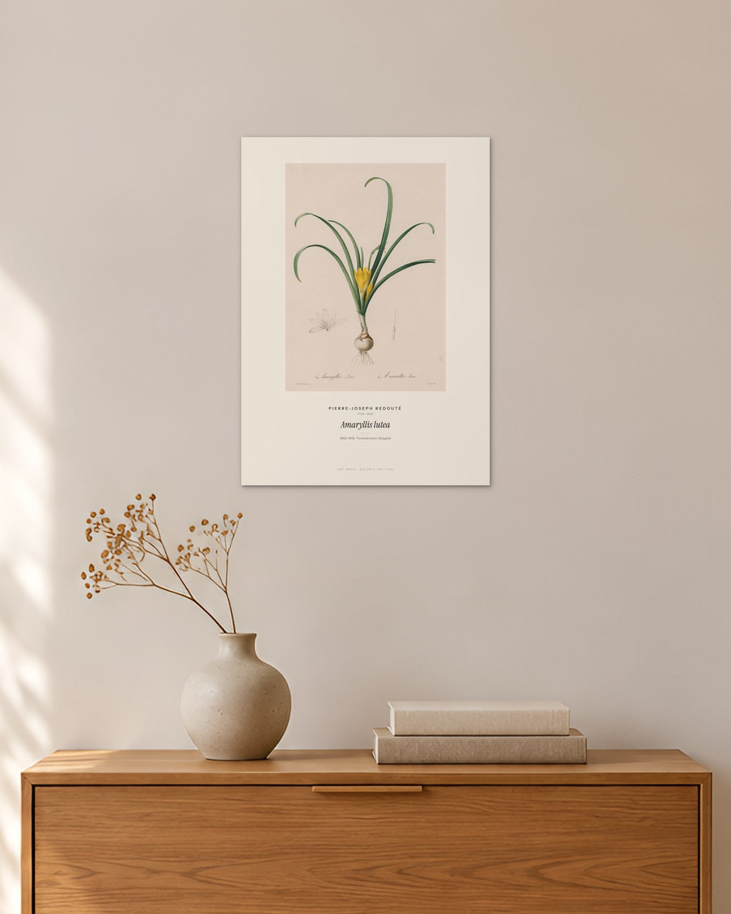 Amaryllis lutea – Pierre-Joseph Redouté – 30 × 42 cm ohne Rahmen – Raumansicht – Art Bros