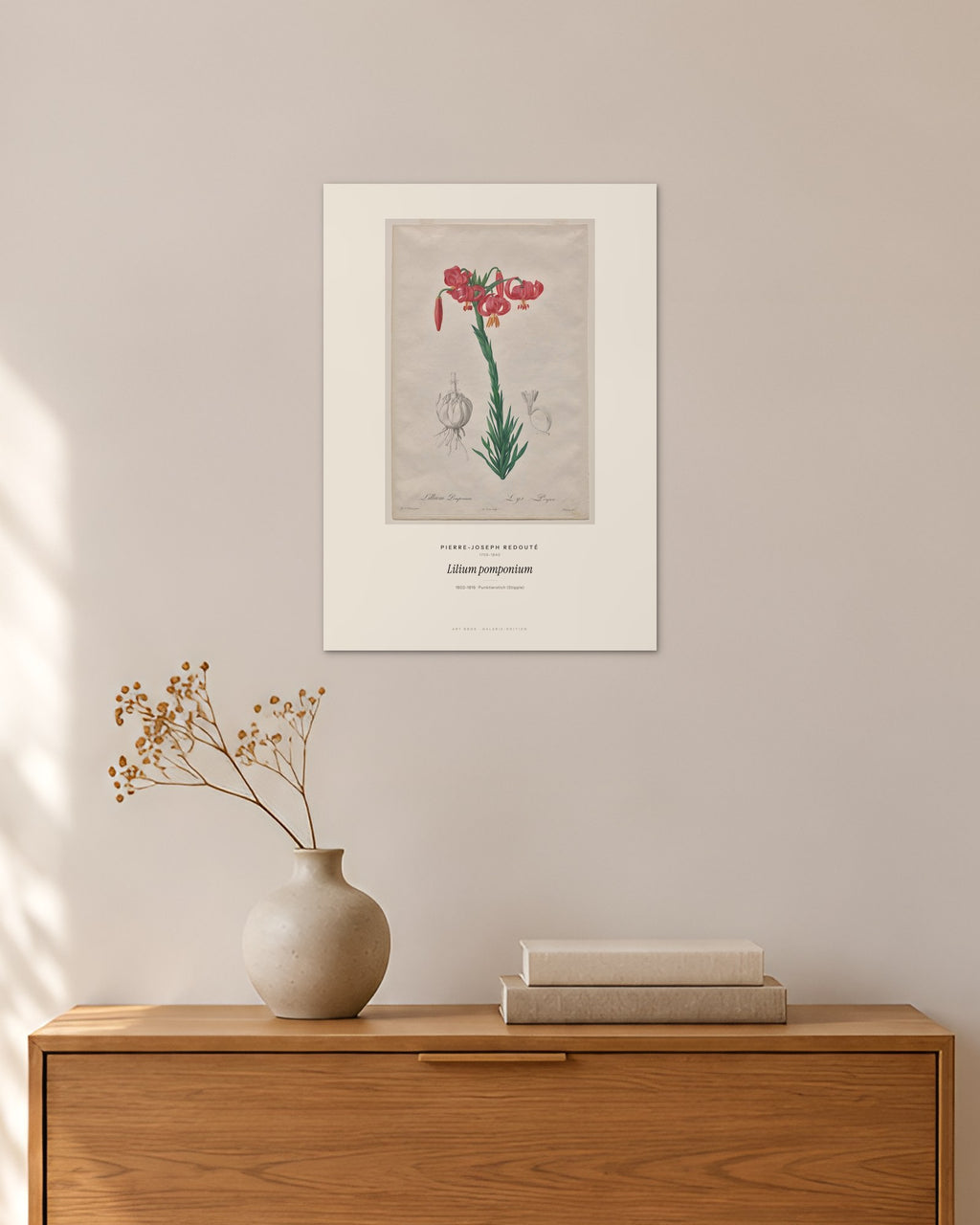 Lilium pomponium – Pierre-Joseph Redouté – 30 × 42 cm ohne Rahmen – Raumansicht – Art Bros