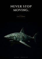 Never Stop Moving – Hai Poster – Art Bros