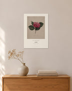 Camellia – Abbé Laurent Berlèse – 30 × 42 cm ohne Rahmen – Raumansicht – Art Bros