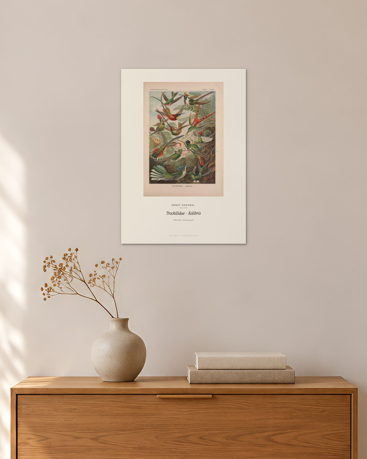 Trochilidae – Kolibris – Ernst Haeckel – 30 × 42 cm ohne Rahmen – Raumansicht – Art Bros
