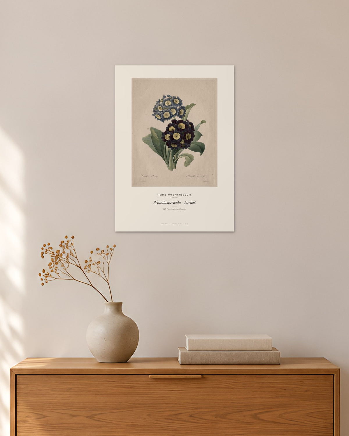 Primula auricula – Aurikel – Pierre-Joseph Redouté – 30 × 42 cm ohne Rahmen – Raumansicht – Art Bros