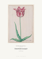 Gemarmerde van Jasper – Pieter Holsteyn II – Kunstdruck – Art Bros