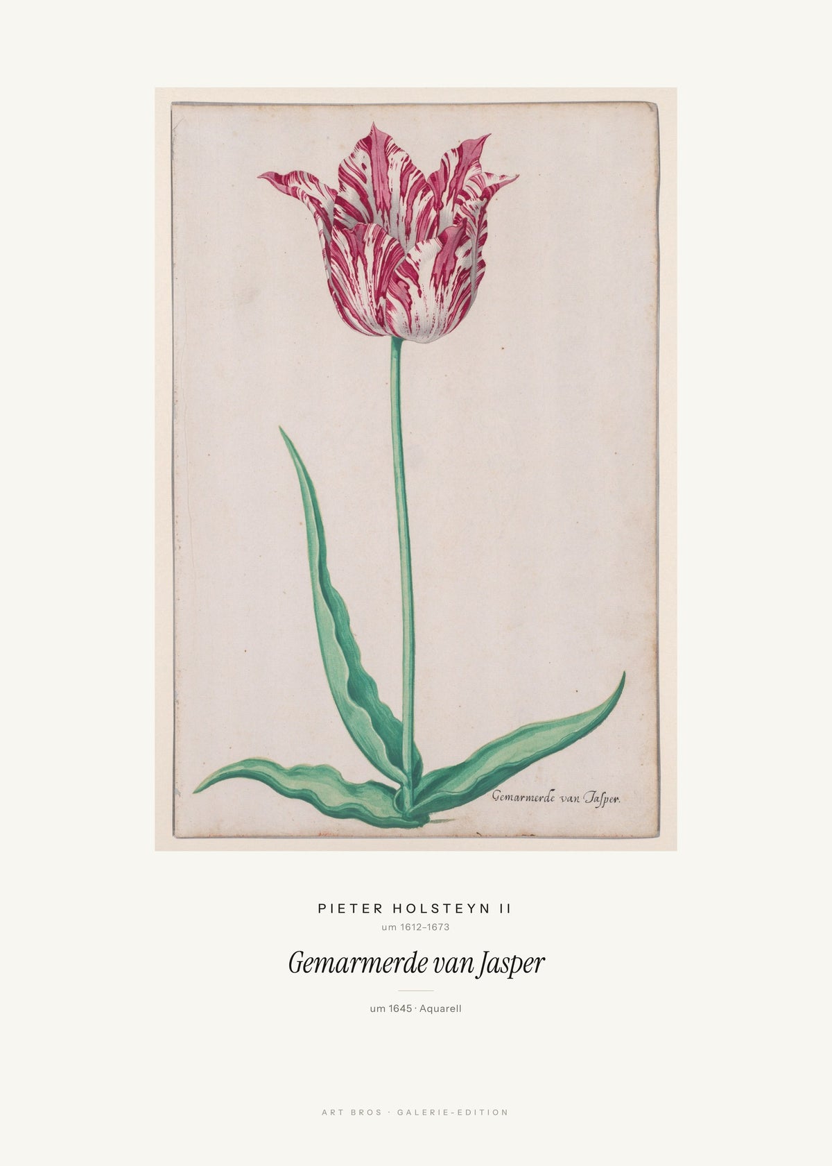 Gemarmerde van Jasper – Pieter Holsteyn II – Kunstdruck – Art Bros