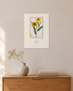 Rudbeckia – Pancrace Bessa – 30 × 42 cm ohne Rahmen – Raumansicht – Art Bros