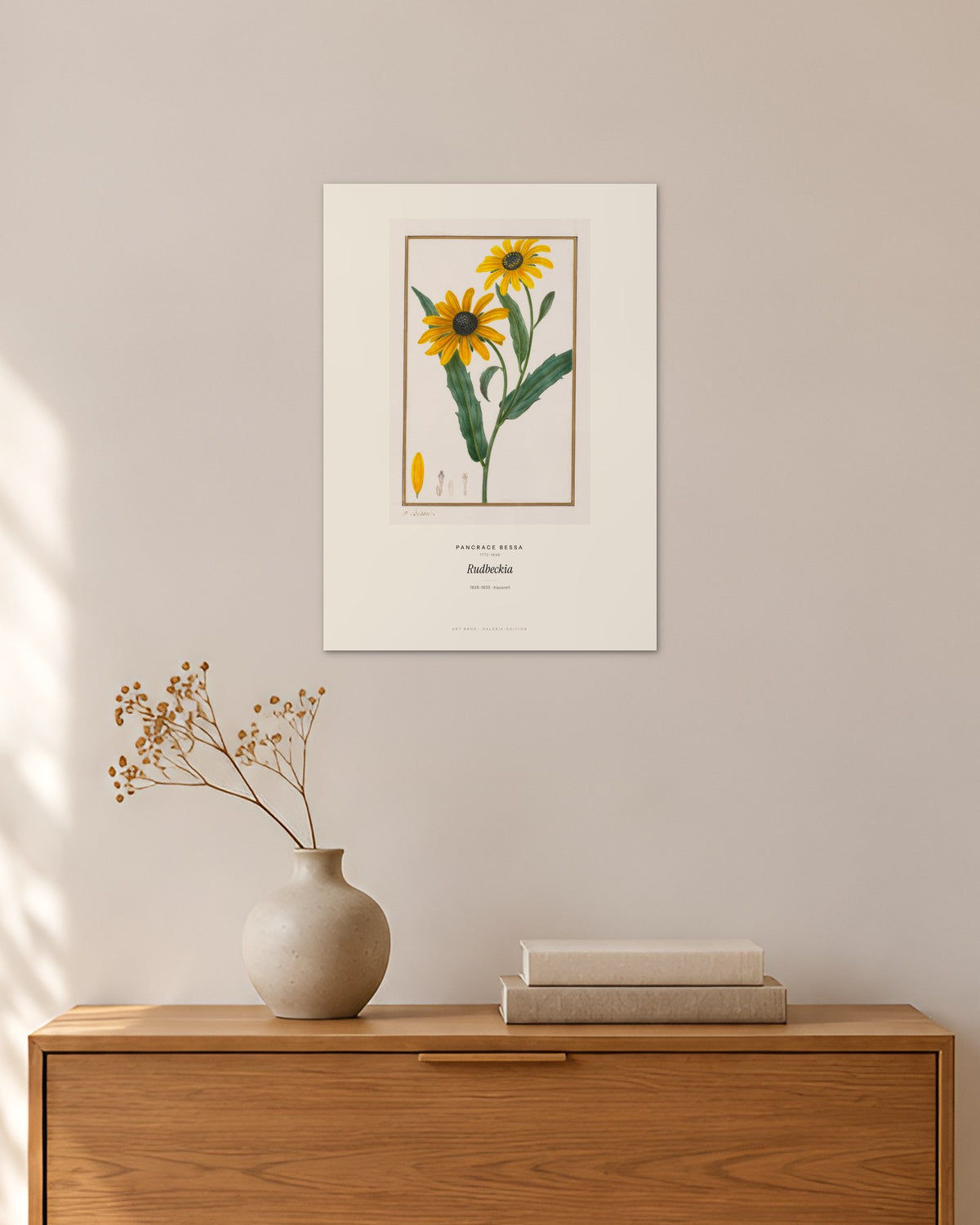 Rudbeckia – Pancrace Bessa – 30 × 42 cm ohne Rahmen – Raumansicht – Art Bros