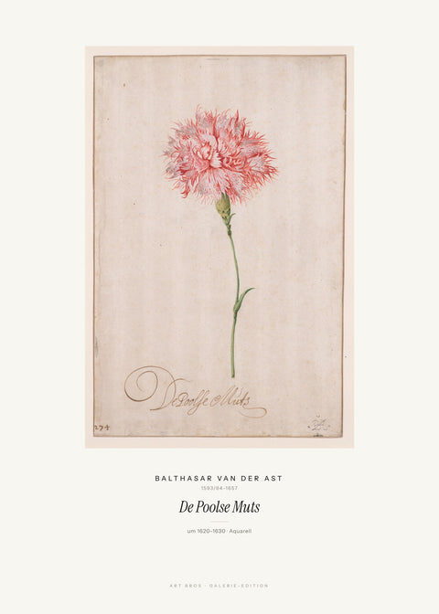 De Poolse Muts – Balthasar van der Ast