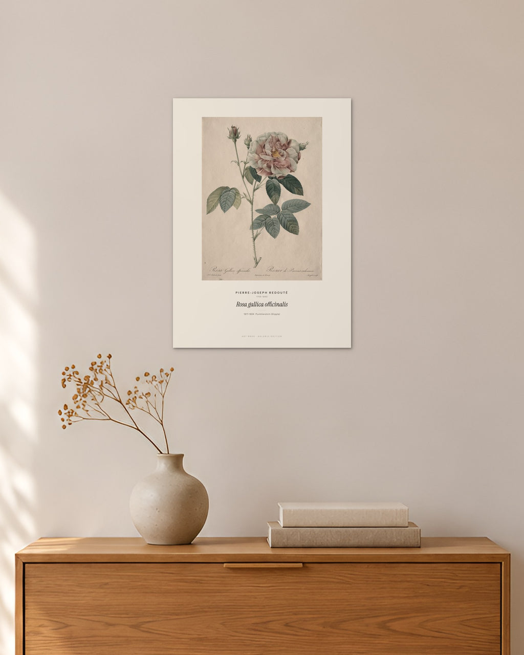 Rosa gallica officinalis – Pierre-Joseph Redouté – 30 × 42 cm ohne Rahmen – Raumansicht – Art Bros