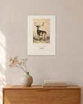 Damhirsch – William und Henry Barraud – 30 × 42 cm ohne Rahmen – Raumansicht – Art Bros