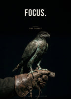 Focus – Falke Poster – Art Bros