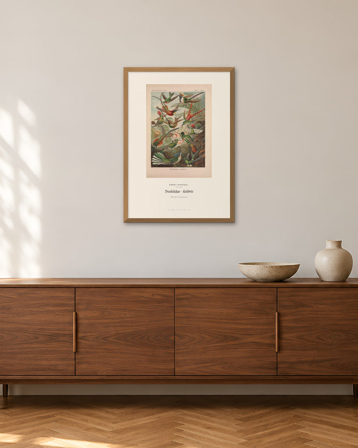 Trochilidae – Kolibris – Ernst Haeckel – 50 × 70 cm im Holzrahmen – Raumansicht – Art Bros