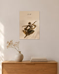 Leap – Sprung Poster – 30 × 42 cm ohne Rahmen – Raumansicht – Art Bros
