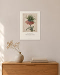 Fritillaria imperialis – Kaiserkrone – Pierre-Joseph Redouté – 30 × 42 cm ohne Rahmen – Raumansicht – Art Bros