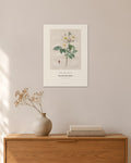 Rosa damascena subalba – Pierre-Joseph Redouté – 30 × 42 cm ohne Rahmen – Raumansicht – Art Bros
