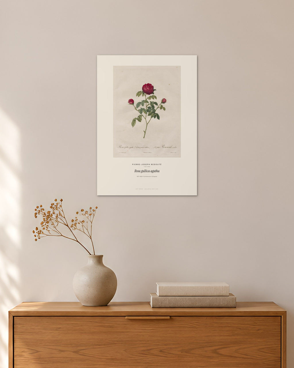 Rosa gallica agatha – Pierre-Joseph Redouté – 30 × 42 cm ohne Rahmen – Raumansicht – Art Bros