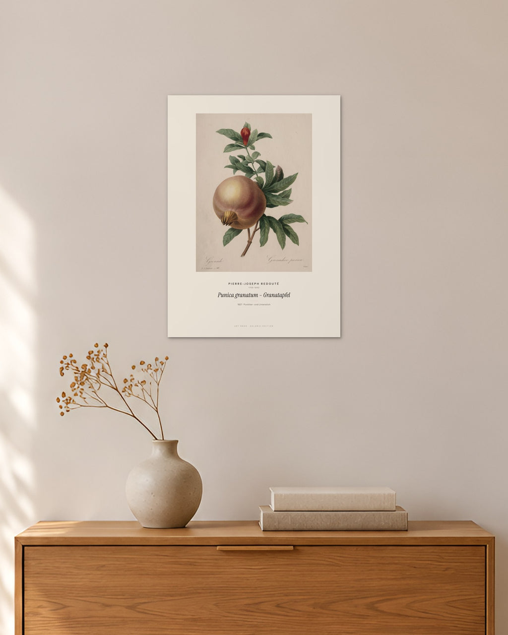 Punica granatum – Granatapfel – Pierre-Joseph Redouté – 30 × 42 cm ohne Rahmen – Raumansicht – Art Bros