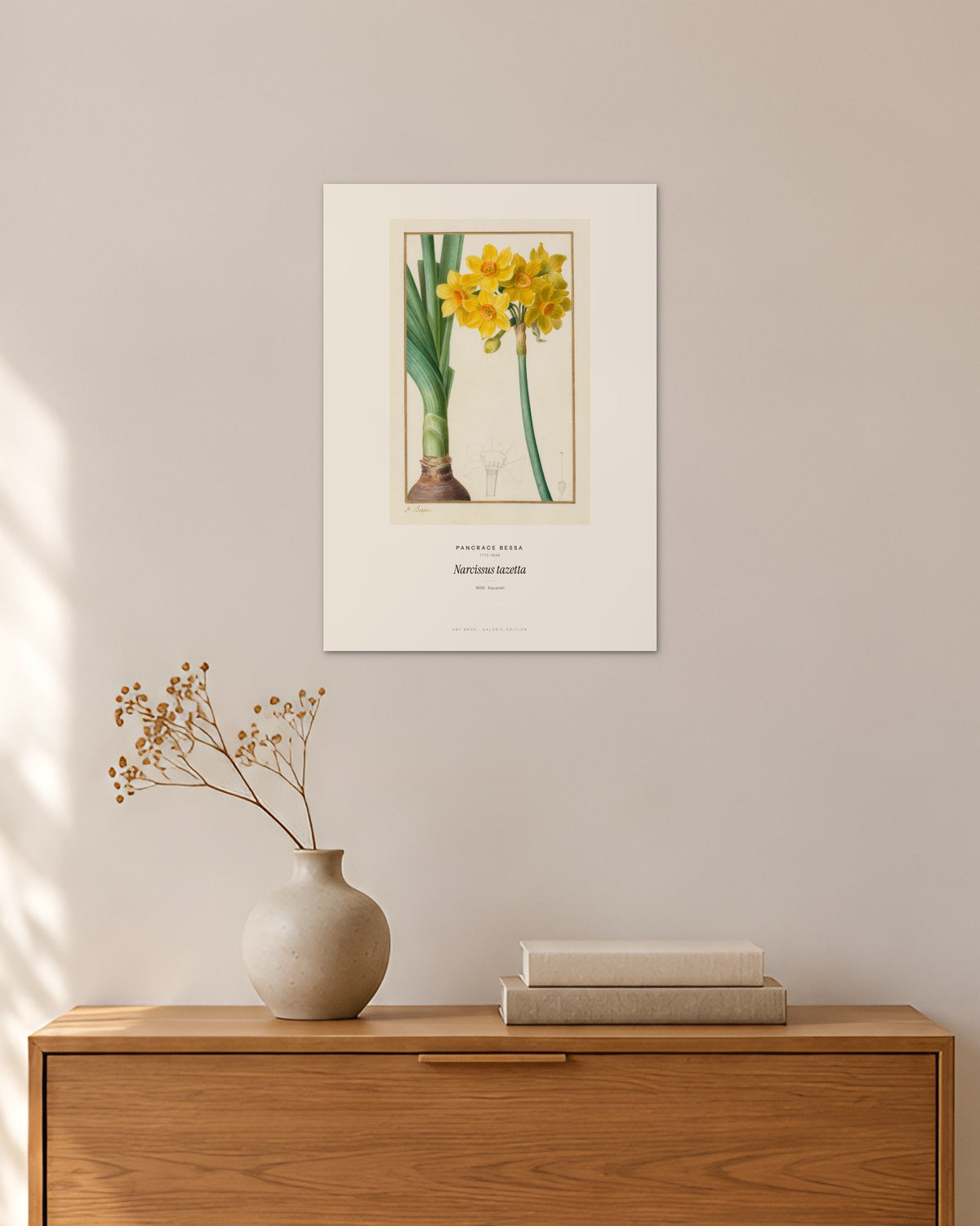 Narcissus tazetta – Pancrace Bessa – 30 × 42 cm ohne Rahmen – Raumansicht – Art Bros