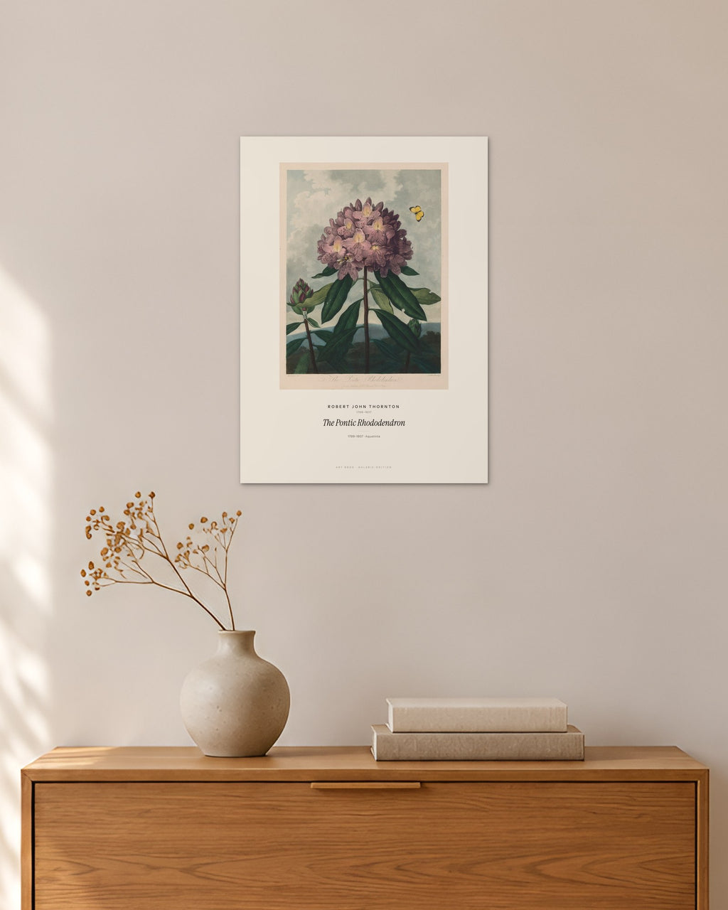 The Pontic Rhododendron – Robert John Thornton – 30 × 42 cm ohne Rahmen – Raumansicht – Art Bros