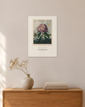 The Pontic Rhododendron – Robert John Thornton – 30 × 42 cm ohne Rahmen – Raumansicht – Art Bros
