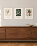 Botanische Blüten – 3er-Set Wandbilder – 30 × 42 cm ohne Rahmen – Raumansicht – Art Bros