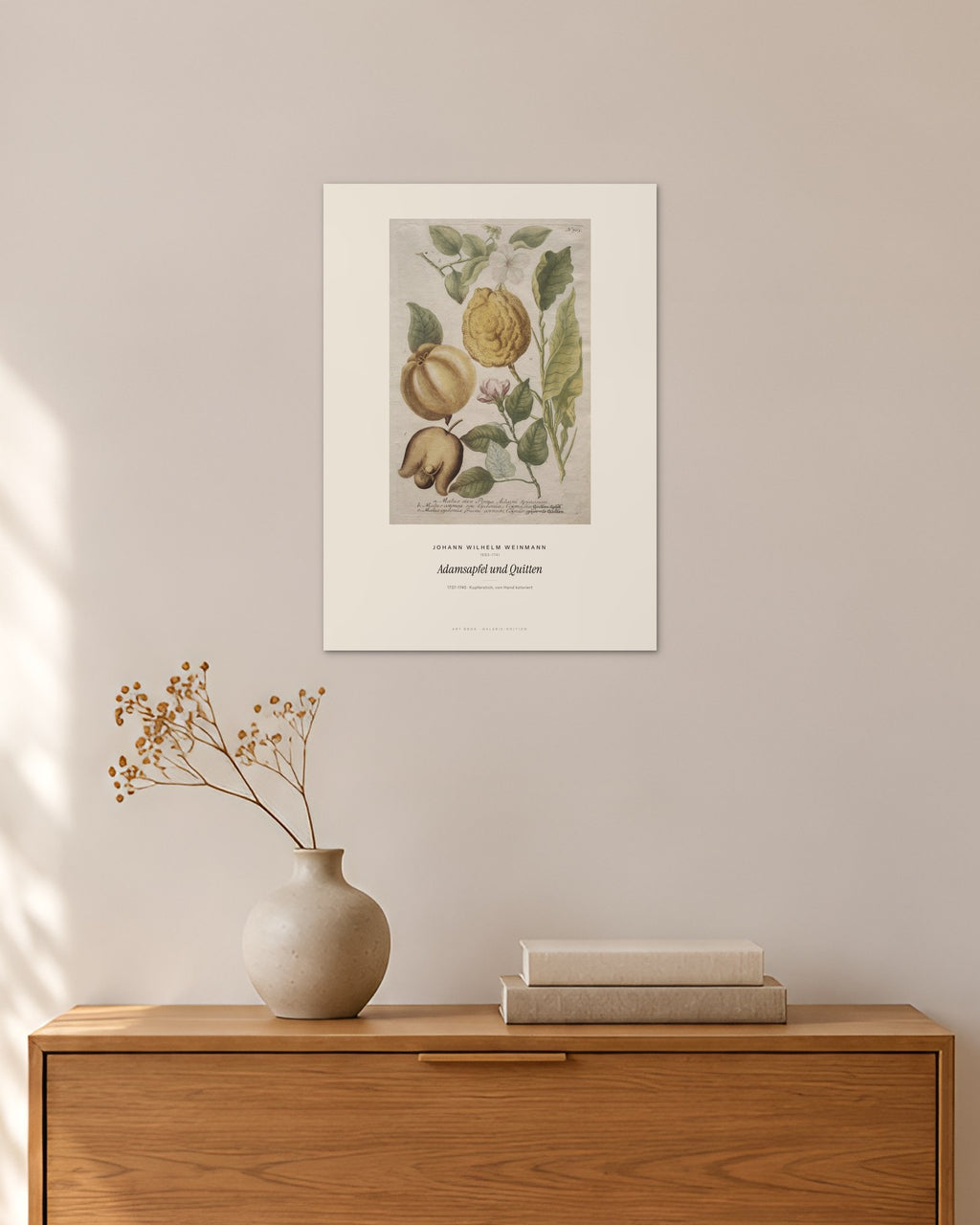Adamsapfel und Quitten – Johann Wilhelm Weinmann – 30 × 42 cm ohne Rahmen – Raumansicht – Art Bros