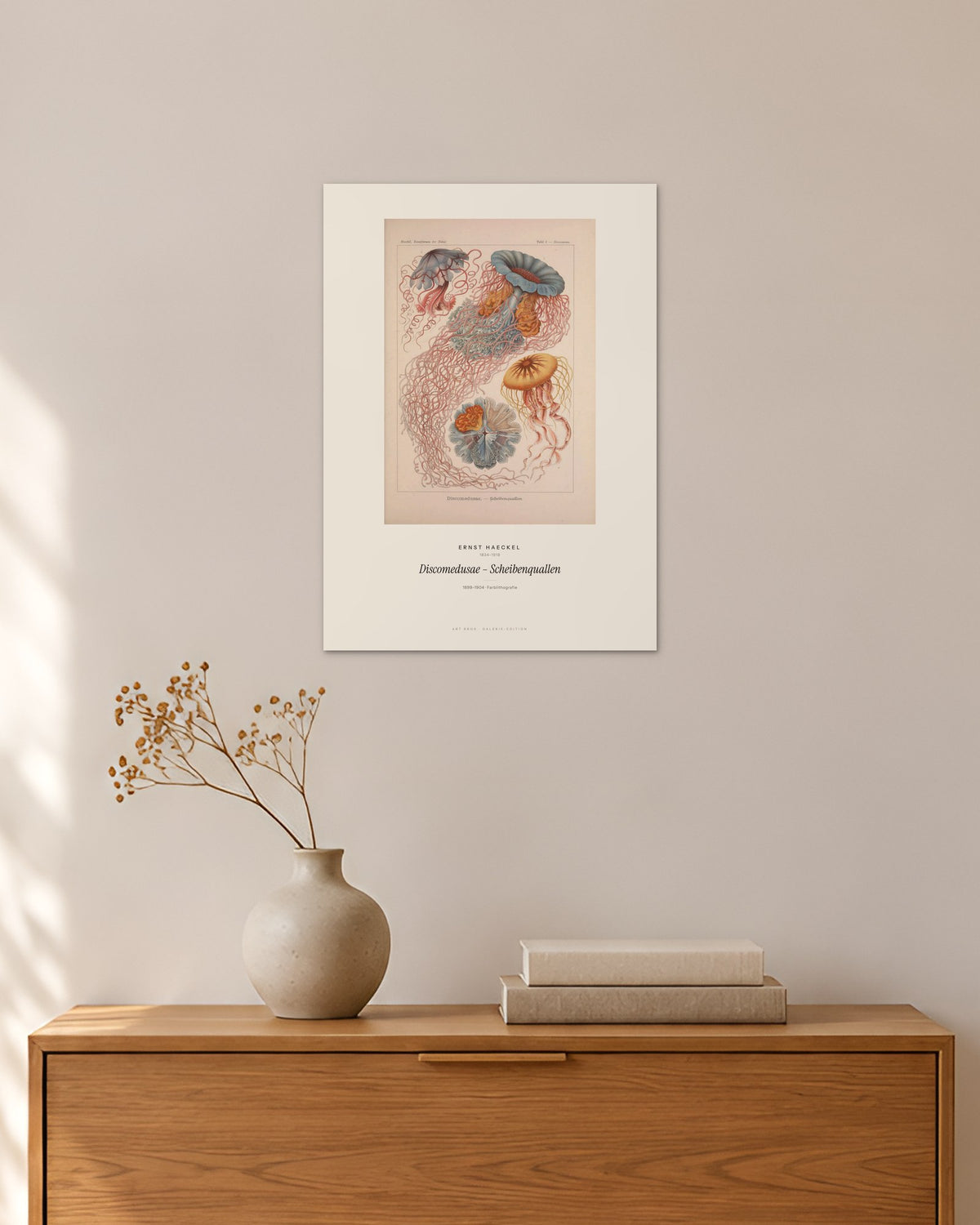Discomedusae – Scheibenquallen – Ernst Haeckel – 30 × 42 cm ohne Rahmen – Raumansicht – Art Bros