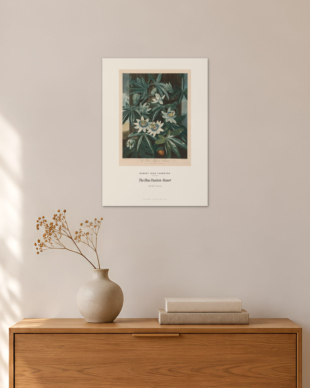 The Blue Passion-flower – Robert John Thornton – 30 × 42 cm ohne Rahmen – Raumansicht – Art Bros