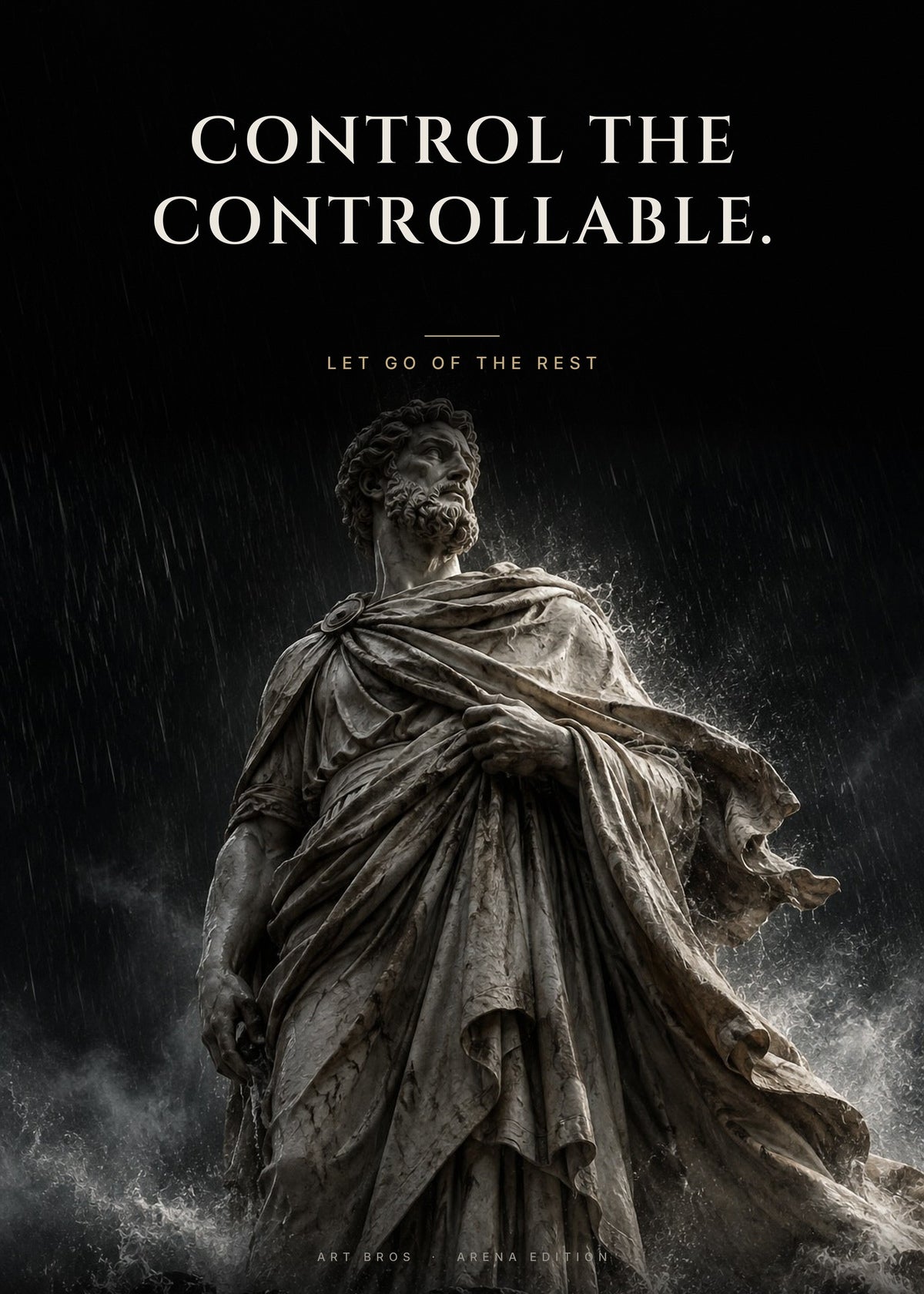 Control the Controllable – Im Sturm Poster – Art Bros